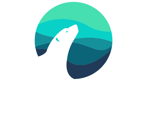 Auora - Soluções Digitais Personalizadas